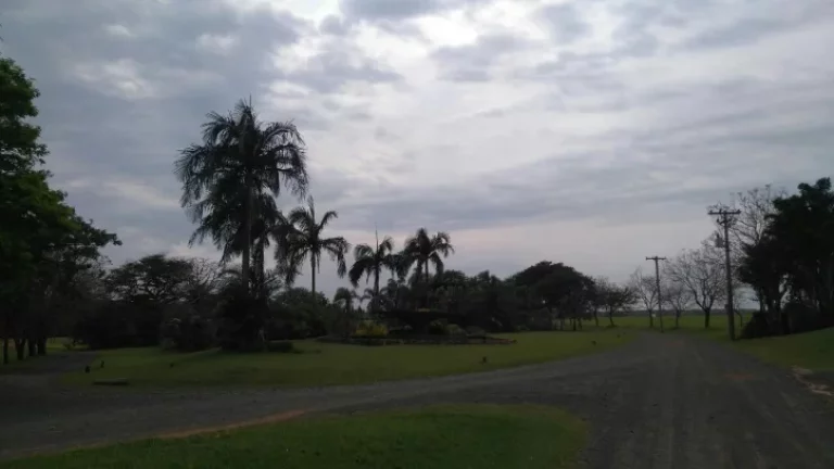 Imóvel