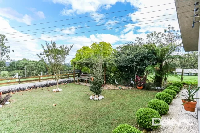 Imagem Sitio maravilhoso com 10,51 hectares - a 200m do Mercado 4 irmãos - Fazendinha - c/ Escritura e Registro - Rio Negro.