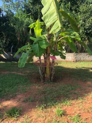 Imagem Chácara em Paranamirim