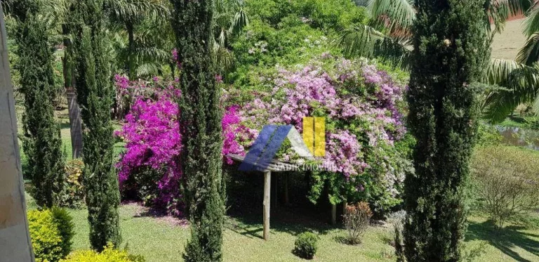 Imagem Chácara com 3 Quartos à Venda, 24.200 m² em área Rural - Congonhal