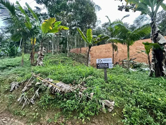 Imagem Terreno rural com 30.142,92m² em Massaranduba/SC
