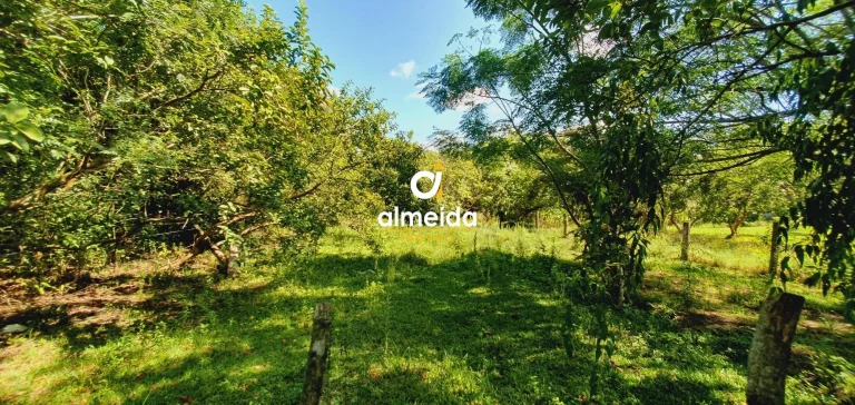 Imagem BELA AREA A VENDA