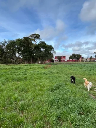Imagem TERRENO à venda com 15924m² por R$ 6.370.000,00 no bairro Planta Santa Lúcia - PIRAQUARA / PR