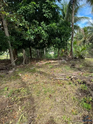 Imagem Terreno com 1100m2 à Venda Próximo a Figueira Café em Jaboti - Guarapari/ES