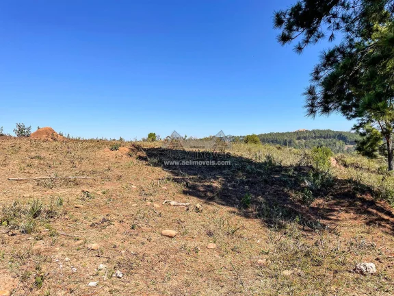 Imagem Terreno 5.268 m² no Alto da Boa Vista em Campos do Jordão com ZR3