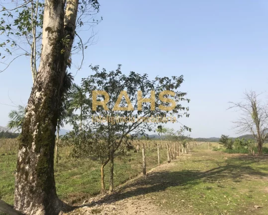 Imagem Fazenda mais linda de Garuva, é 100% plana, pode-se ver o gado de ponta a ponta da fazenda, tendo u...