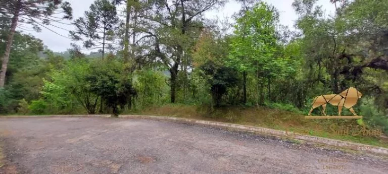 Imagem Terreno à venda, 5170 m² por R$ 350.000,00 - Descansópolis - Campos do Jordão/SP