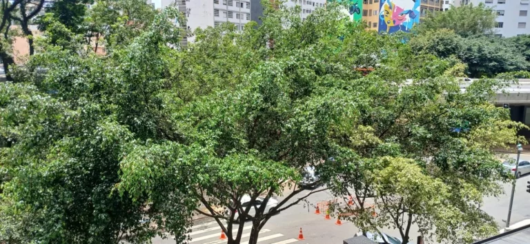 Imagem Apartamento com 2 dormitórios na BEla Vista - 14 Bis