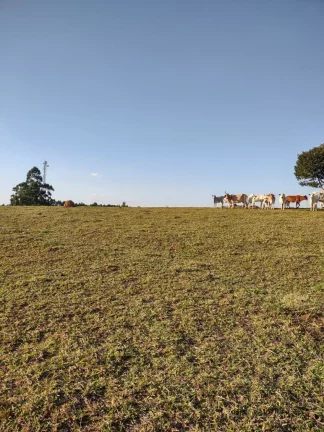 Imagem Belíssimo sítio à venda localizado em Cabreúva-SP