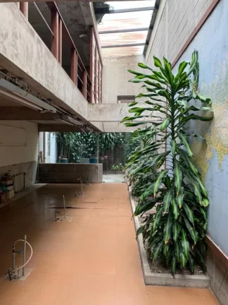 Imagem Terreno para Venda em São Bernardo do Campo / SP no bairro Vila Lusitânia