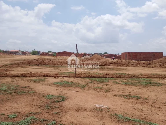 Imagem Lote/Terreno no bairro Venezão, em Coronel João Sá
