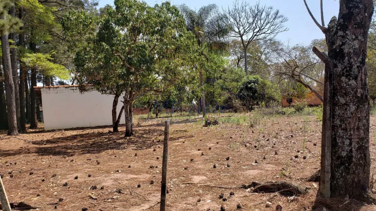 Imagem Terreno Padrão