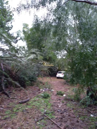 Imagem Terreno com 3 Dormitorio(s) localizado(a) no bairro Águas Claras em Viamão / Rio Grande do Sul Ref.:57580594