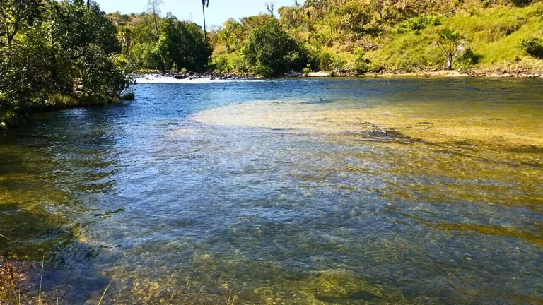 Imagem Um território de águas vivas no coração do Jalapão.