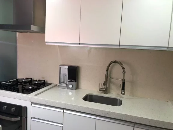 Imagem Apartamento com 2 dormitórios à venda, 56 m² por R$ 320.000 - Vila Alpina - Santo André/SP