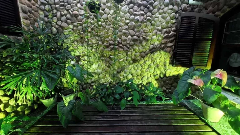 Imagem Casa de condomínio à venda em São Gonçalo, Centro, com 3 quartos, 240m2