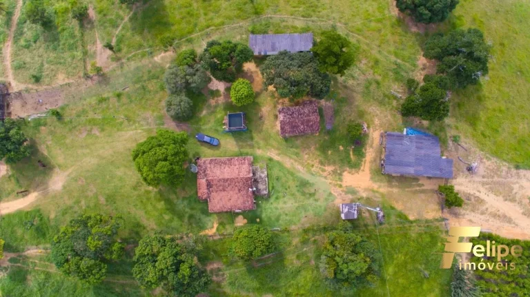 Imagem FAZENDA NO MUNICÍPIO DE LINHARES A 45 KM DE COLATINA.