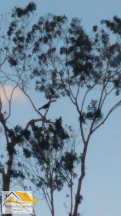 Imagem Vendo terreno no condomínio Remanso no Perissê com 1073 mts²