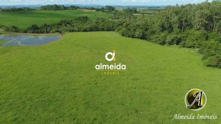 Imagem Chácara com 6,2 ha