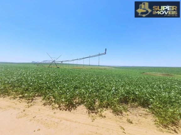 Imagem Fazenda de Excelência no RS 2.100 hectares Cachoeira do Sul