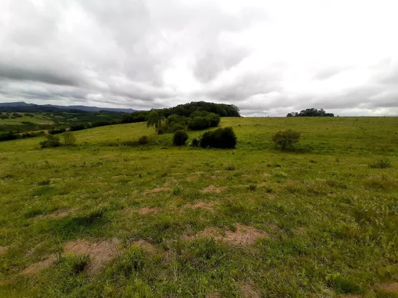 Imagem OPORTUNIDADE ÚNICA!!! 12 Hectares, Linha Doutor Flores, Sertão Santana