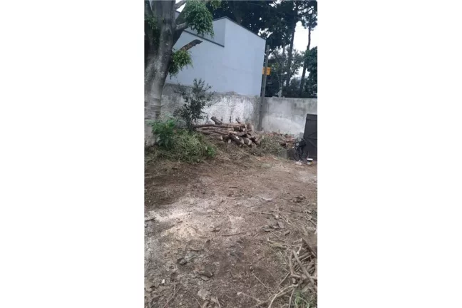 Imagem CMRB 450 Lote 601391019-12