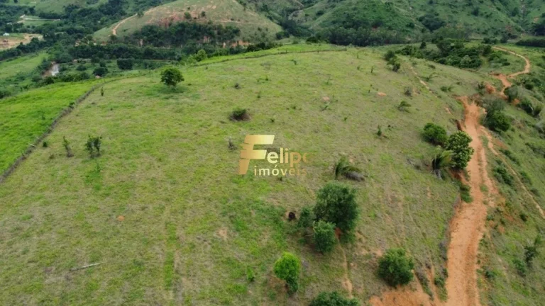 Imagem Fazenda 55 alqueires escriturada produtiva com muita água em Colatina.