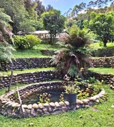 Imagem Chácara Alto Padrão | O Refúgio Definitivo em Gonçalves