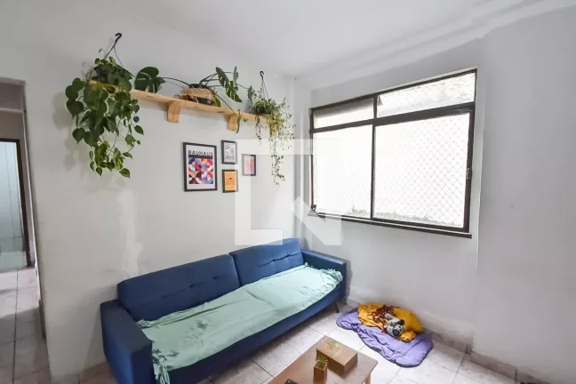 Imagem Apartamento à Venda - Cambuci, 3 Quartos, 85 m2