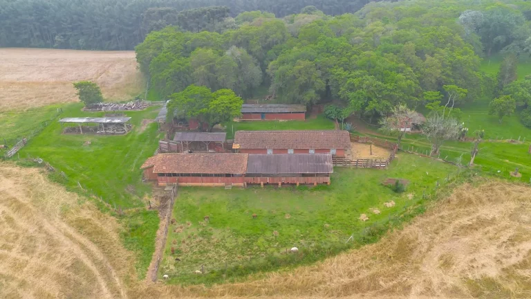 Imagem Sítio à venda na Lapa Paraná