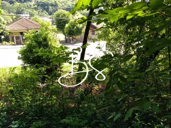 Imagem TERRENO RESIDENCIAL em TRÊS COROAS - RS, Linha 28