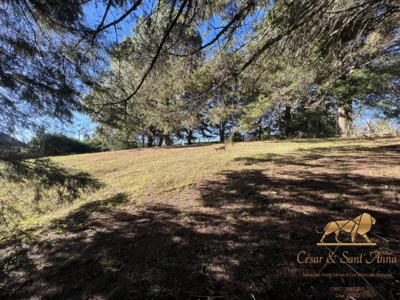 Imagem LINDO LOTE A VENDA NO ALTO DO VILA INGLESA EM CAMPOS DO JORDÃO-SP