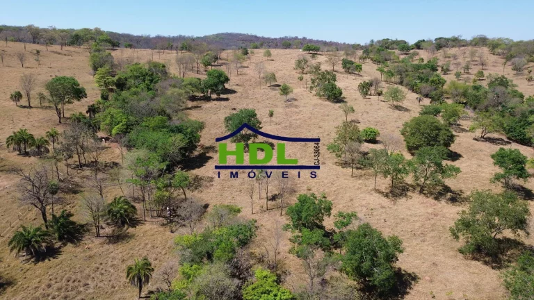 Imagem Chácara 2 Alqs de Cultura Forte e nascente 85 kms de Goiânia