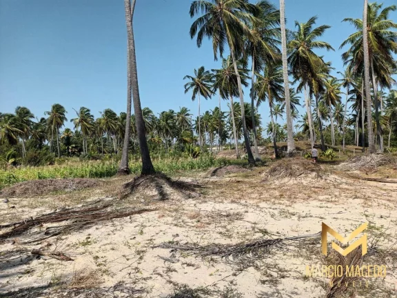 Imagem Terreno à venda, 18615 m² por R$ 3.600.000 - Ilha do Guajiru - Trairi/CE