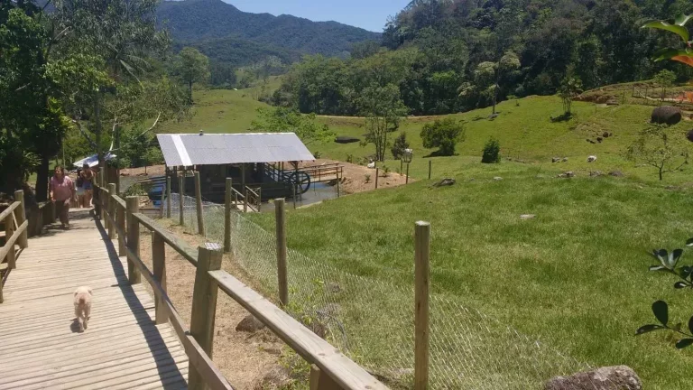 Imagem Sitio com 180.000 m², com 2 lagoas em Camboriú/SC