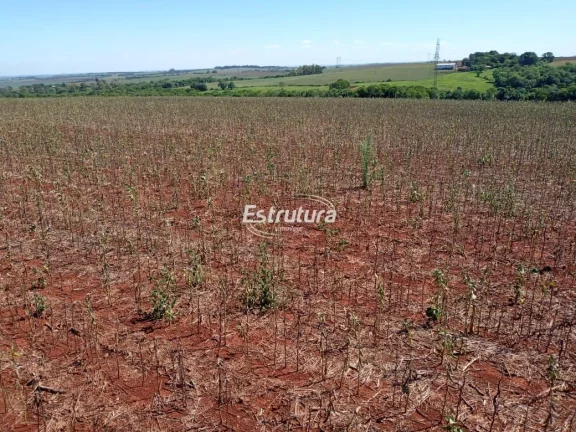 Ótima área rural com 48 hectares de terra vermelha plana