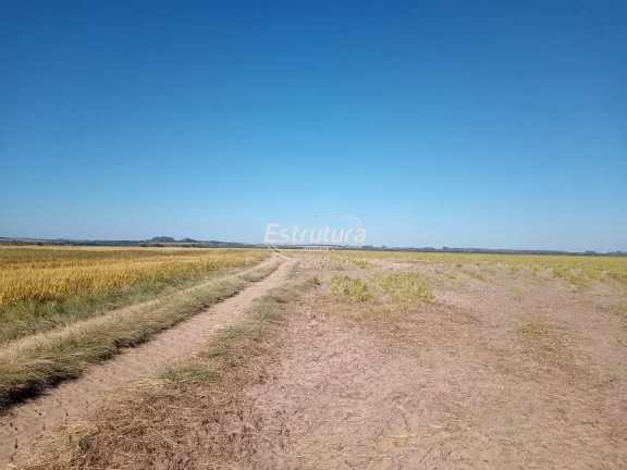 Imagem Área rural com aptidão para plantio de arroz de 190ha