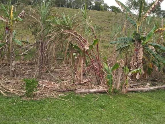 Imagem Sítio para Venda por R$600.000,00 com 3 dormitórios na casa sede, 2 casas e 2 cozinhas - Padre andre , Jacupiranga / SP - Cód. BDI28102