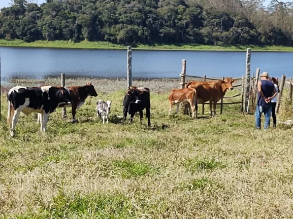 Imagem Chácara com 6 dormitórios à venda, 5000 m² por R$ 1.600.000,00 - Taiacupeba - Mogi das Cruzes/SP