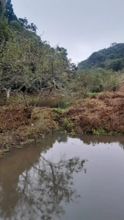 Imagem Sítio para Venda em Sete Barras, Rural