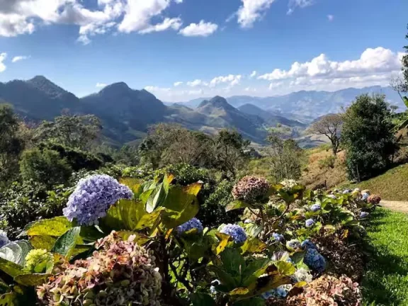 Imagem Refúgio de Altitude em São Bento do Sapucaí: 175.000 m² de Privacidade e Vista Permanente para a Pedra do Baú