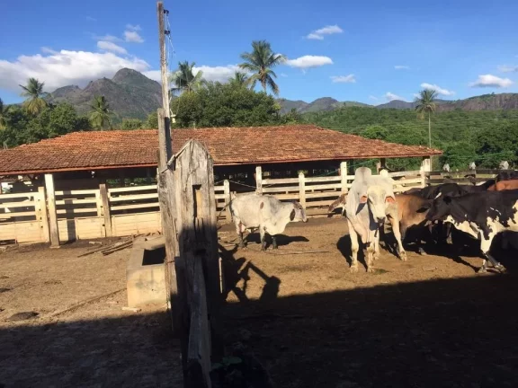 Imagem FAZENDA RURAL em COLATINA - ES, ÁREA RURAL DE COLATINA