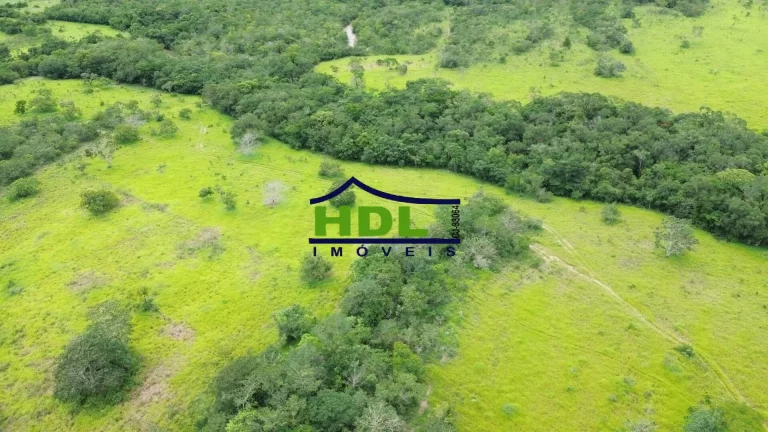 Imagem Fazenda 36 Alqs com 2,5 kms beira Rio dos Bois 60% em Permuta