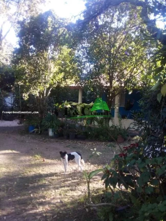 Imagem Chácara para Venda em Itirapina, Planalto, 1 dormitório, 1 banheiro, 15 vagas