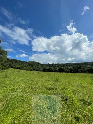 Imagem Sítio 6,5 alqueires por R$ 900.000 em São Sebastião do Paraíso - Minas Gerais.