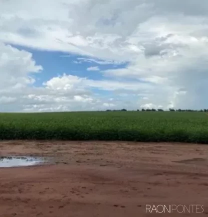 Fazenda à Venda, 2.032.800 m² em Zona Rural - Guaraci
