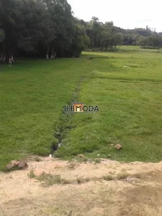 Imagem Chácara à Venda, 15 m² em Piên