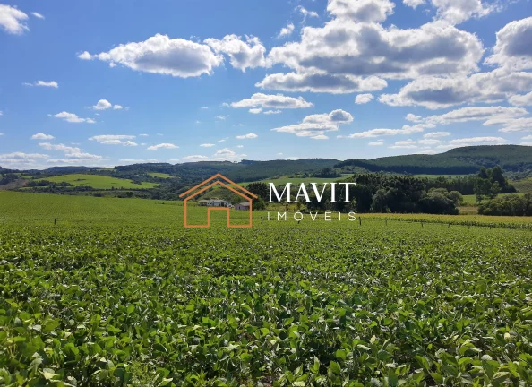 Imagem SITIO RURAL em CAPÃO ALTO - SC, Capão Alto