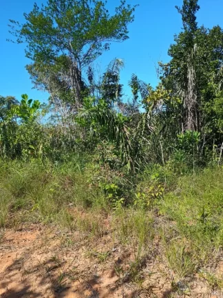 Imagem Terreno para Venda, Imbassai