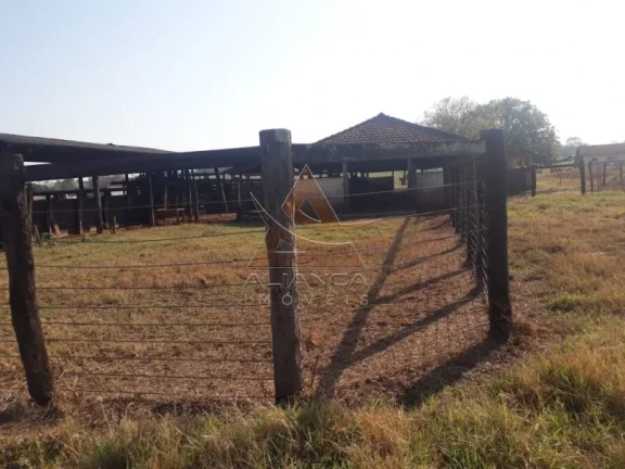 Imagem Fazenda - Cajuru - Zona Rural